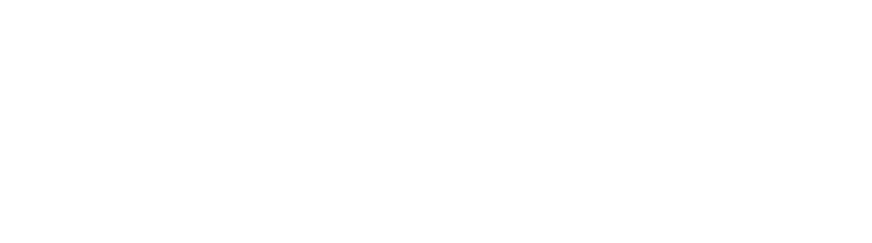 Bitlane